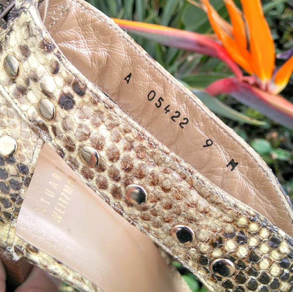 Shoes - Picture 2 of 8